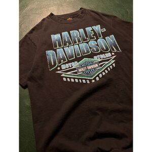 Men's Harley-Davidson Colorado Springs Tee/ Size M/ Amazing condition